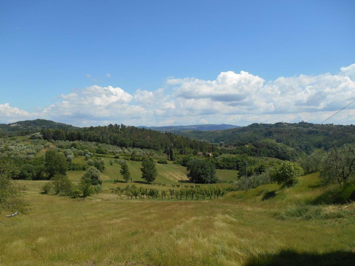 Farm stay Agriturismo Il Loghino *